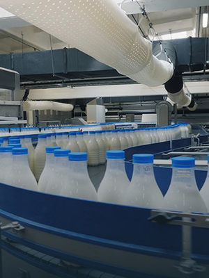 Dairy Packaging