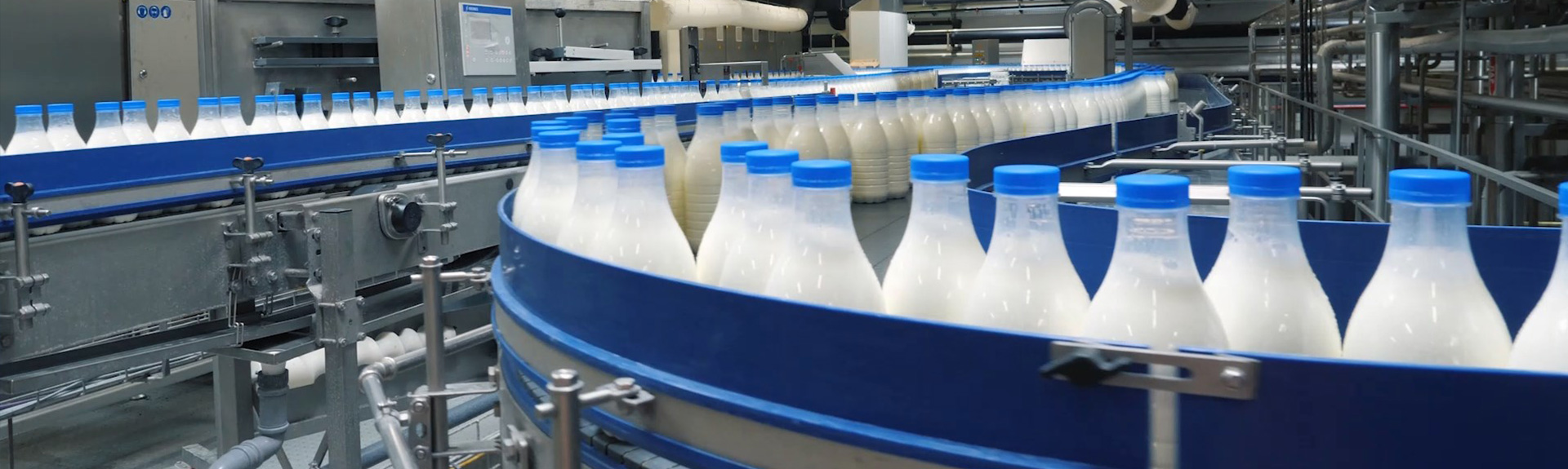 Dairy Packaging
